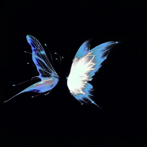 cM黄片软件下载
