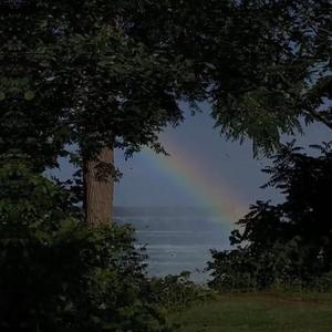 cM黄片软件下载
