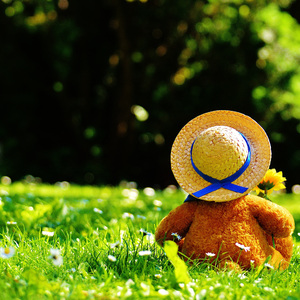 cM黄片软件下载
